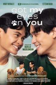 Got My Eyes on You