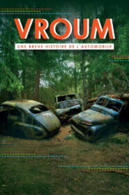 Automobile: Ride and Fall