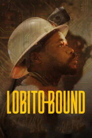 Lobito Bound: A Journey to Africa’s New Frontier