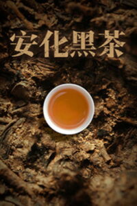 安化黑茶: Season 1