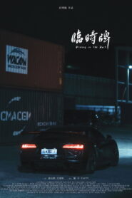 Driving in the Dark