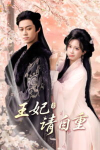 王妃请自重: Season 1