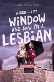 A Bird Hit My Window and Now I’m a Lesbian