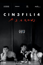 CIN3 FILI4
