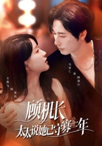 Renewed Love in the Skies: Season 1