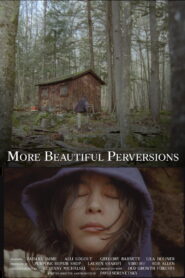 More Beautiful Perversions