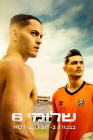 Shlomi Shesh