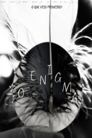 The Enigma