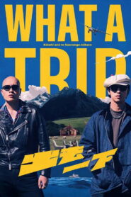 What a Trip