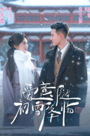 爱意随初雪降临
