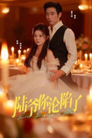 Falling for Mr. Lu