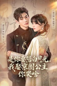 是你要陪白月光，我娶京圈公主你哭啥