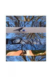 Four Poems