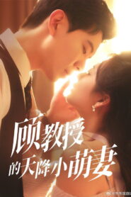 顾教授的天降小萌妻