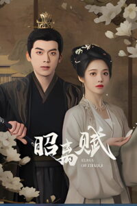 The Chronicles of Zhao Li