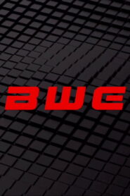 Boston Wrestling Entertainment