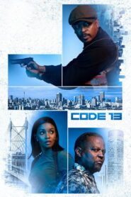 Code 13