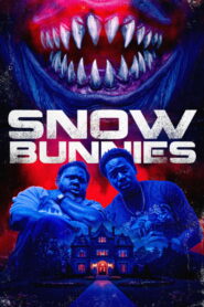 Snow Bunnies