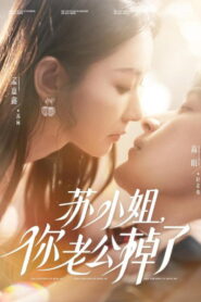 苏小姐，你老公掉了