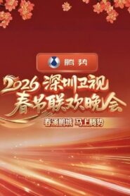 深圳卫视春节联欢晚会