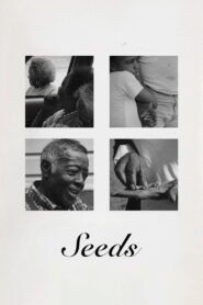 Seeds