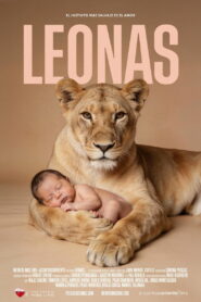 Leonas, el instinto más salvaje
