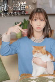 I’m Taking Care of My Ex’s Cat.