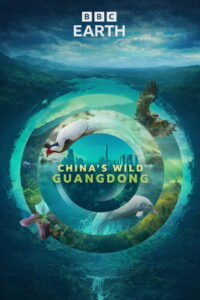 China’s Wild Guangdong