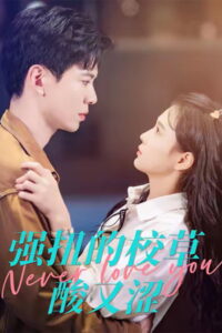 强扭的校草酸又涩: Season 1
