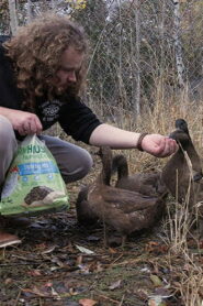 Baylin and the Ducks
