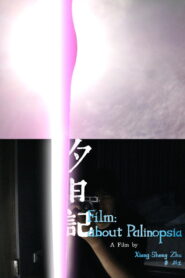 Film; about Palinopsia