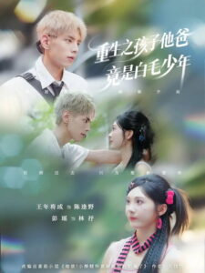 重生之孩子他爸竟是白毛少年: Season 1