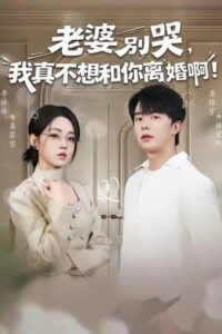 老婆别哭，我真不想和你离婚啊！: Season 1