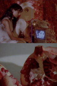 what does it feel like to live inside a pomegranate?