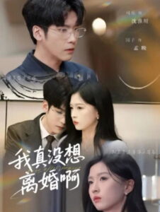 我真没想离婚啊: Season 1