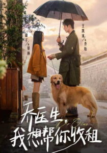 乔医生，我想帮你收租: Season 1
