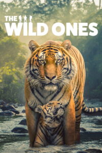 The Wild Ones: Season 1