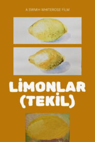 Lemons (Singular)