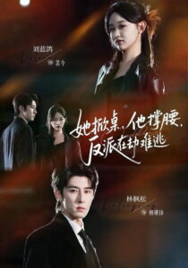 她掀桌，他撑腰，反派在劫难逃: Season 1