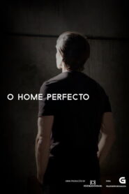 O home perfecto