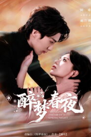 醉梦春夜