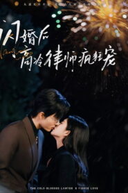 闪婚后蒋律师卑微求爱