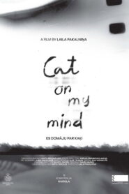 Cat on my Mind
