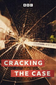 Cracking The Case