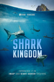 Shark Kingdom