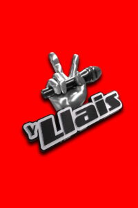 The Voice: Season 1
