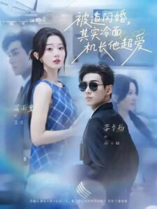 被迫闪婚，其实冷面机长他超爱: Season 1