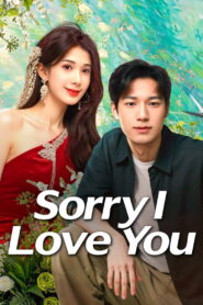 Sorry I Love You