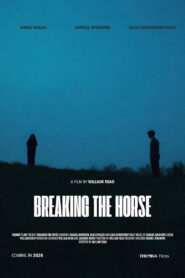 Breaking the Horse