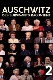 Auschwitz, survivors tell their stories